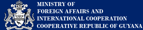 Foreign Affairs & International Cooperation — Diaspora Unit